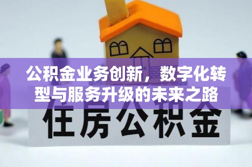 渑池公积金业务创新，数字化转型与服务升级的未来之路